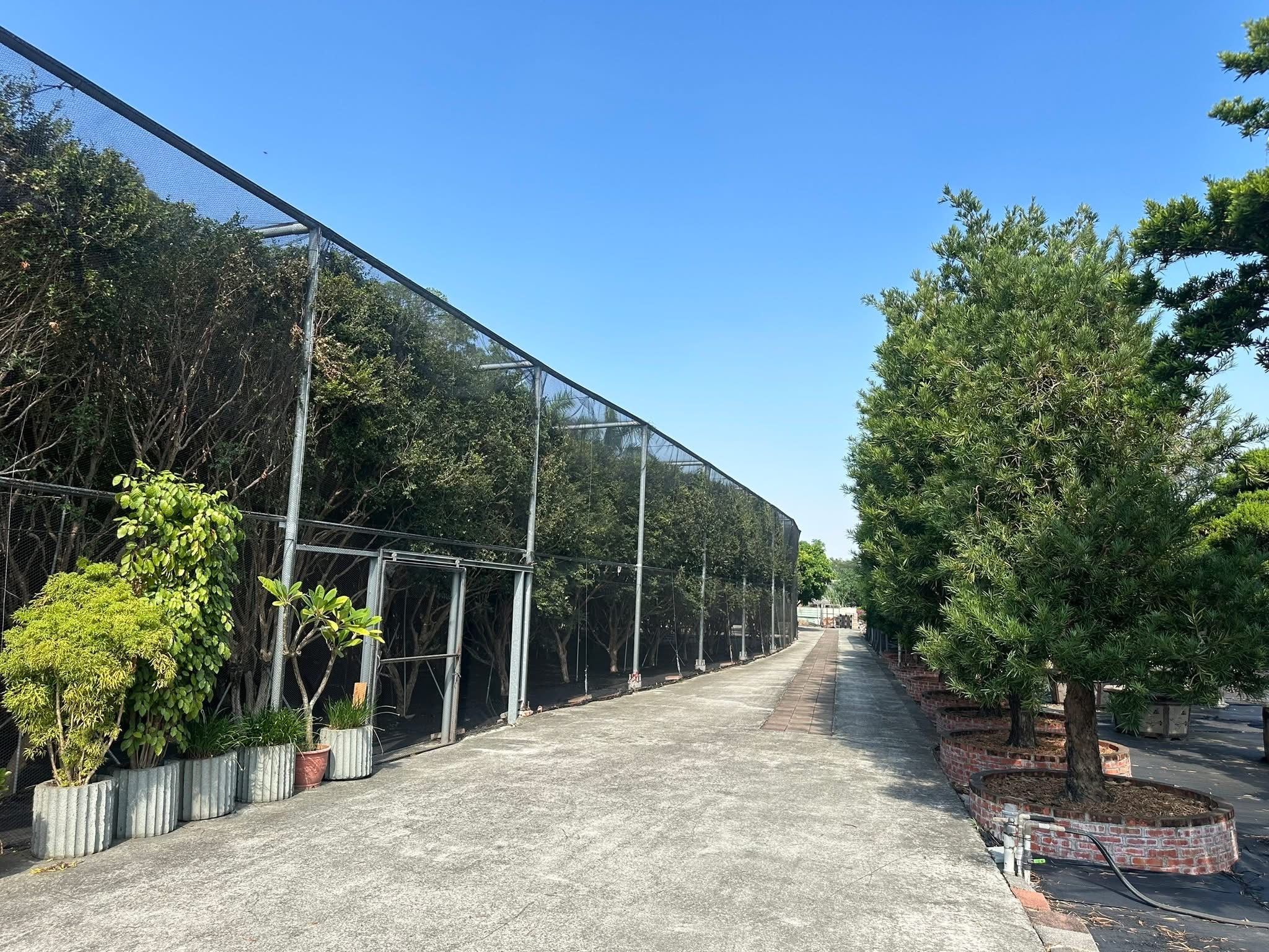 台南樹葡萄果園網室栽培環境」